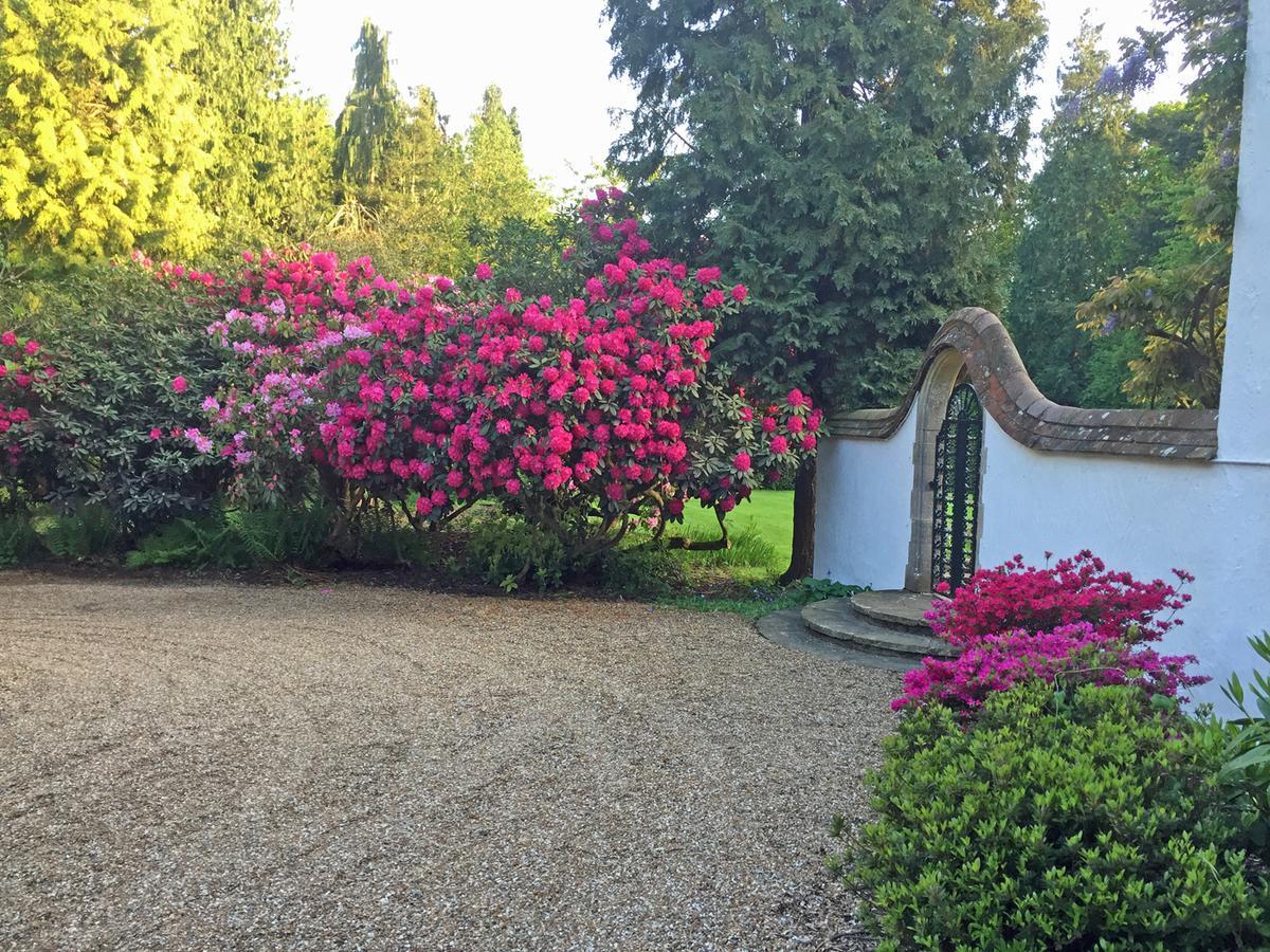 Bed and Breakfast Bressenden Biddenden Exterior foto